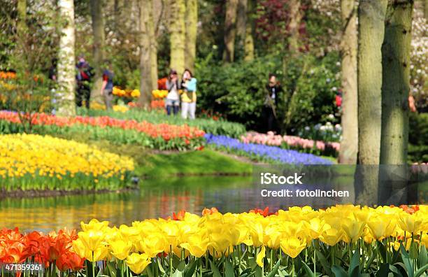 Garten Im Frühling Stockfoto und mehr Bilder von Gartengestaltung - Gartengestaltung, Variation, Baum