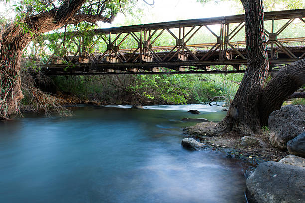 istock the banias river in israel 471360732
