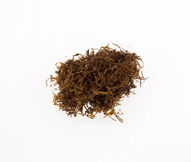 istock tobacco isolated on white background 471360734