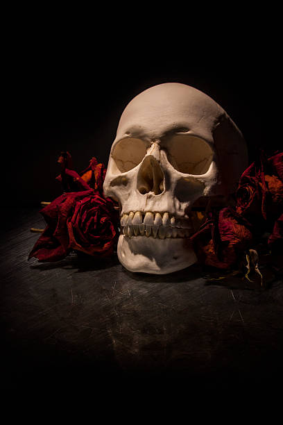 istock Contrasty human skull with roses 471364418
