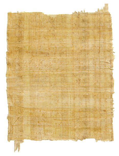 Sheet Of Papyrus -XXXL Sheet of ancient paper on a white background papyrus paper photos stock pictures, royalty-free photos & images