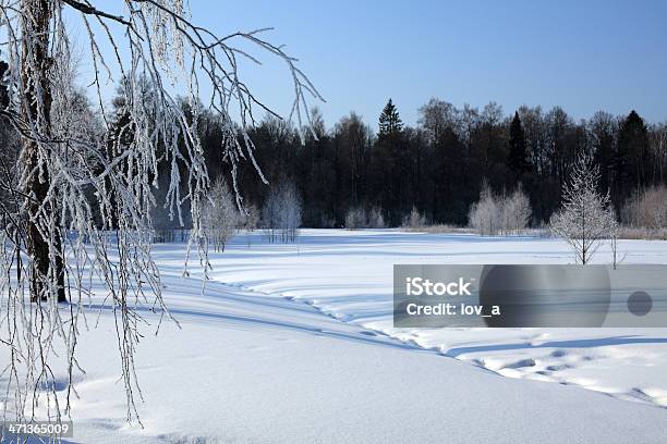 Die Russische Winter Stockfoto und mehr Bilder von Ast - Pflanzenbestandteil - Ast - Pflanzenbestandteil, Bahngleis, Baum