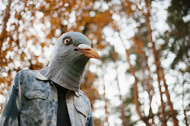 Photo of Weird man in a creepy pigeon bird mask
