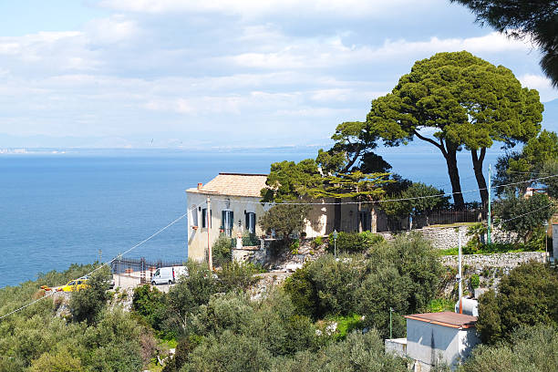 View of Massa Lubrense surrounded by green olive and lemon trees, in the most beautiful itinerary of the Sorrento coast.