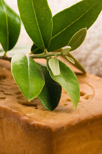 istock Natural Olive Soap With Fresh Branch 471368453