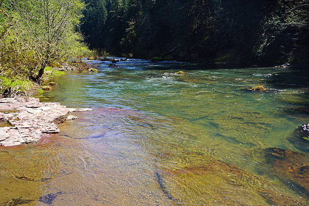 istock Steamboat Creek Canyon 471369278
