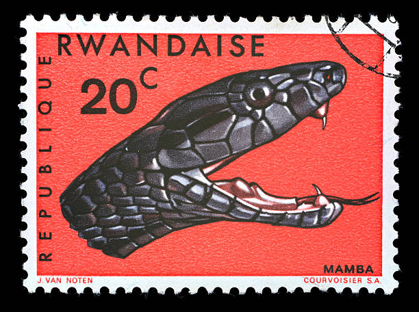 istock Postmark Rwandan Republic Snake Mamba 471372043