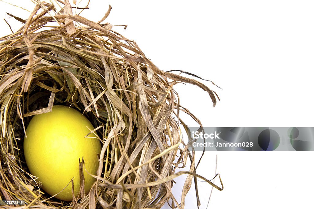 Oeuf de Pâques dans un nid. - Photo de Branche - Partie d'une plante libre de droits