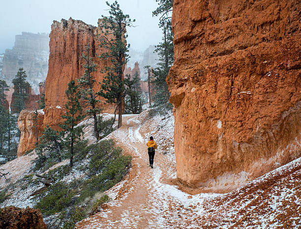 Hiker in Snowy Bryce Canyon stock photo