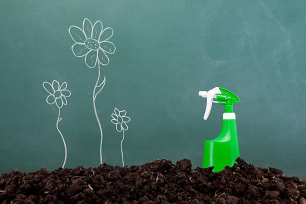 istock Spray bottle, Dirt, Flowers on Blackboard 471374329