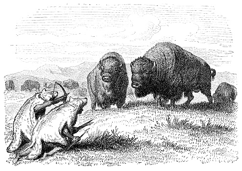 Native american buffalo hunters dressed as coyotes. Engraving by unknown artist from Ernst von Hesse-Wartegg's 