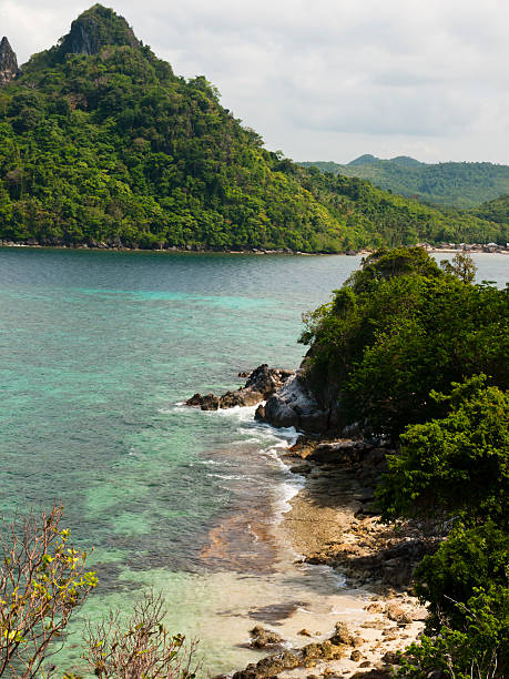 istock landscape of tropical island 471377147