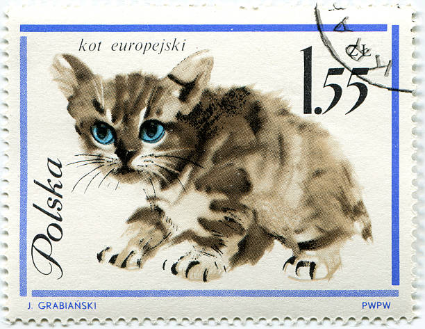 istock Polish stamp showing a domestic cat 471382583