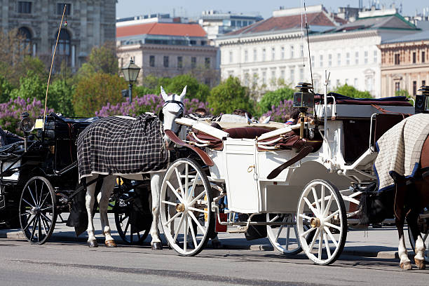 istock Fiaker, horsedrawn of Vienna 471382713