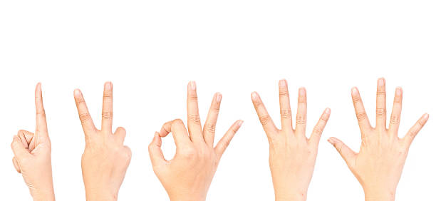 istock Collection of hands number symbol. 471385029