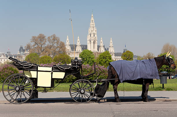 istock Fiaker, horsedrawn of Vienna 471385133