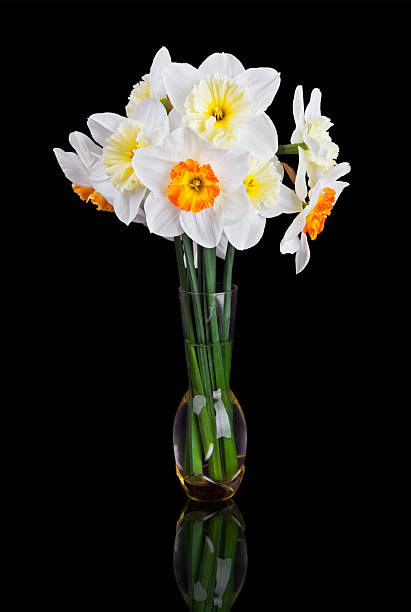 istock bouquet from beautiful white narcissus in vase isolated 471385165