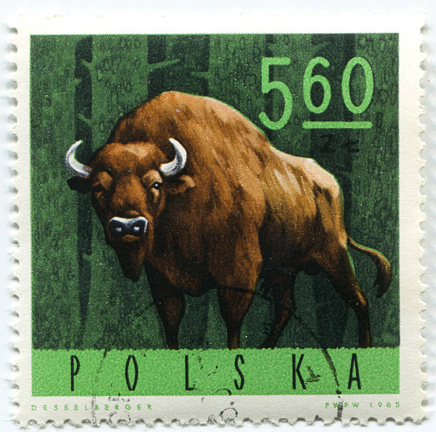 istock Polish stamp showing a wisent 471386631