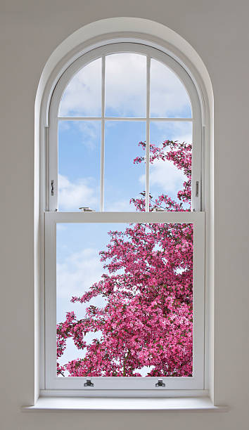 arched window and cherry blossoms a beautifully constructed arched window with a view over cherry blossoms and a blue sky.  The white sash windows are set in a light grey wall. window latch stock pictures, royalty-free photos & images