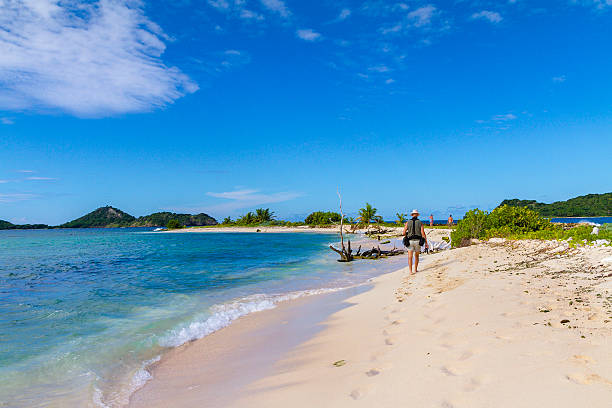 istock On white sand, Sandy Island, Grenada 471386769