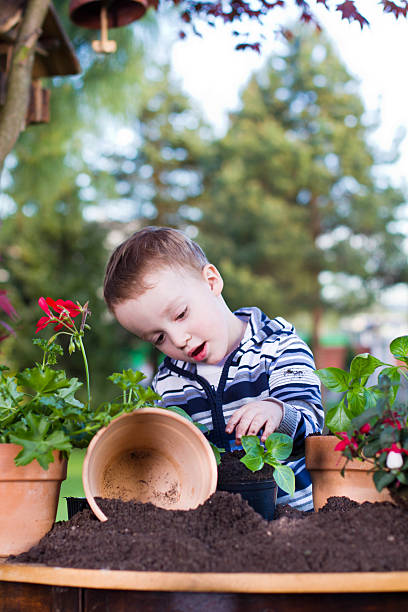 istock Toddler gardening 471388527