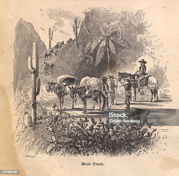 Bianco E Nero Illustrazione Di Mulo Treno Dal 1800 - Immagini vettoriali stock e altre immagini di Mulo