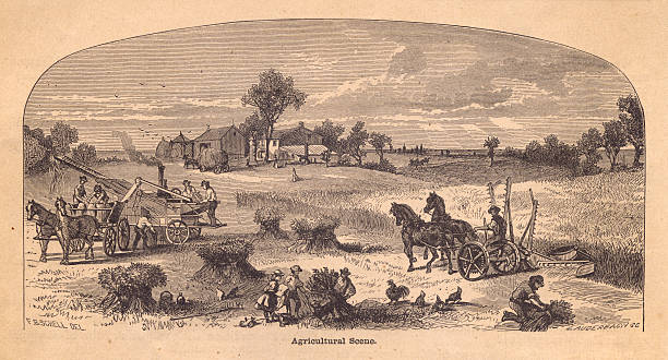 старый, черно-белая иллюстрация сельскохозяйственных пейзаж, от 1800's - old obsolete house black and white stock illustrations