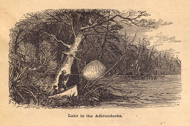 Old, Black and White Illustration of Lake in Adirondacks, 1800's Old black and white illustration of a lake in the Adirondacks, from the 1800's. adirondack mountains stock illustrations