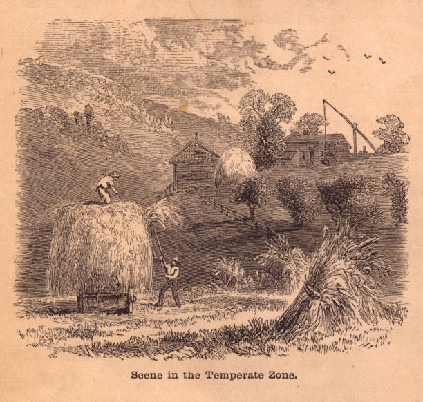 Old, Black and White Illustration of Scene in Temperate Zone Old black and white illustration of a scene in the temperate zone, from 1800's. rail fence stock illustrations