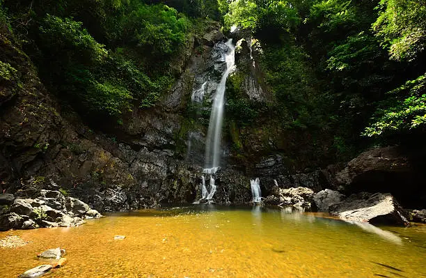 Photo of Beautiful waterfall