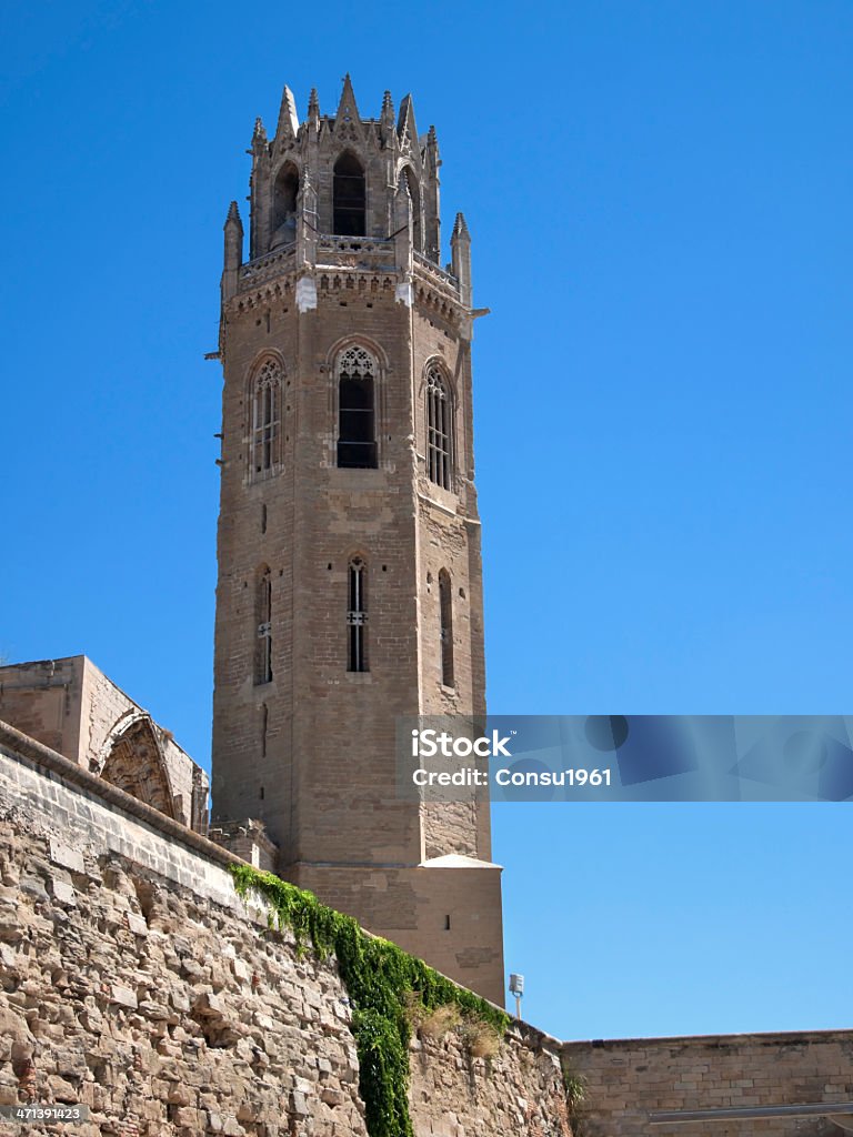 Tower (La Seo Vella) - Foto de stock de Alrededor del siglo XIV libre de derechos