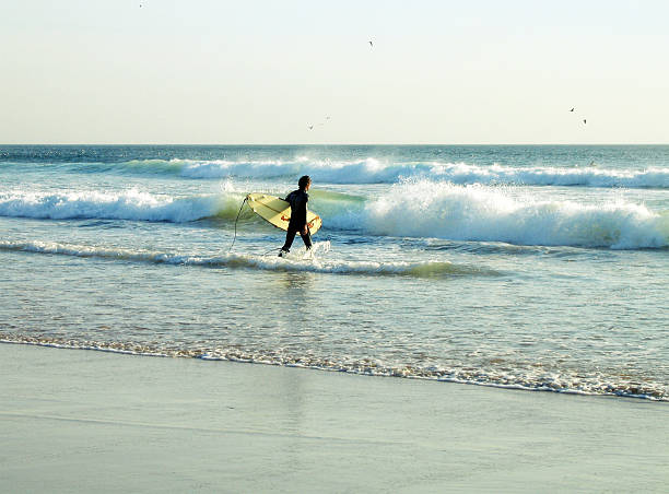맨 앞으로 서핑에 플라주/costa da caparica (포르투칼) - portugal beach surfing surfboard 뉴스 사진 이미지