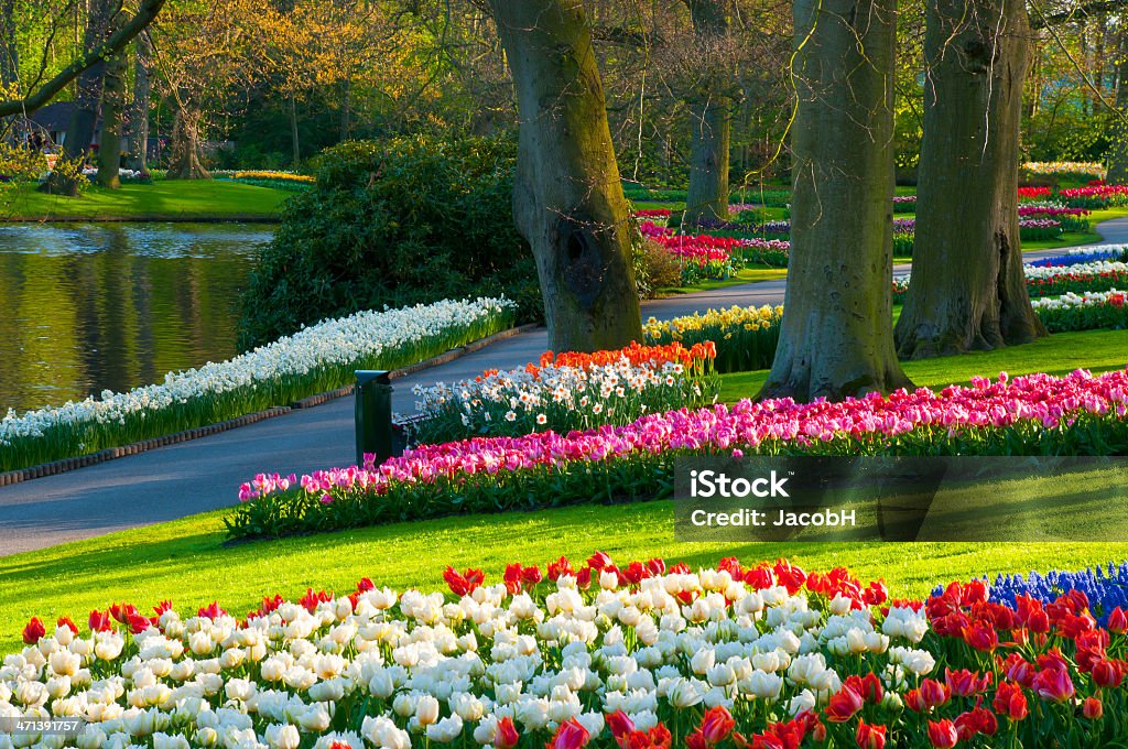 Весенние цветы в парк - Стоковые фото Без людей роялти-фри