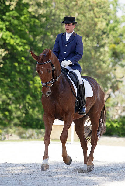 istock Dressage horse in canter 471392093