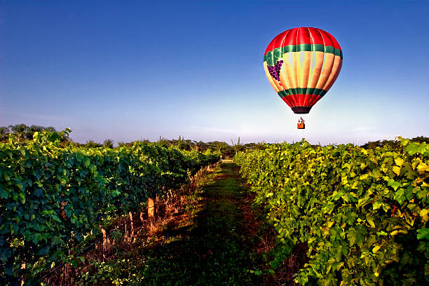 istock A hot air balloon over a grape vineyard 471392351