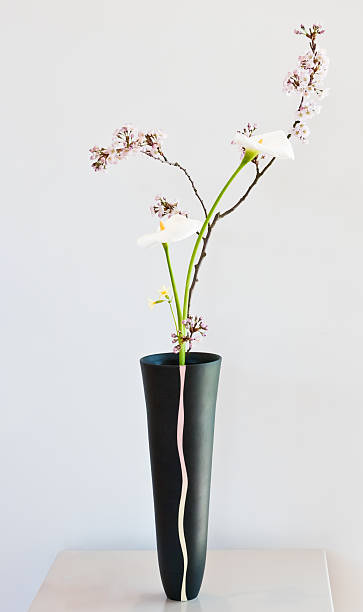 2,200+ Ikebana Vases Stock Photos, Pictures & Royalty-Free Images - iStock