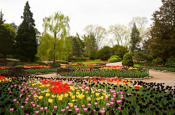 Sea of Colour