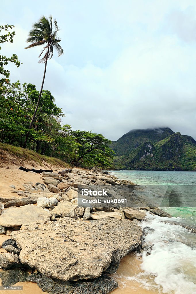 Exotic praia - Foto de stock de Ajardinado royalty-free