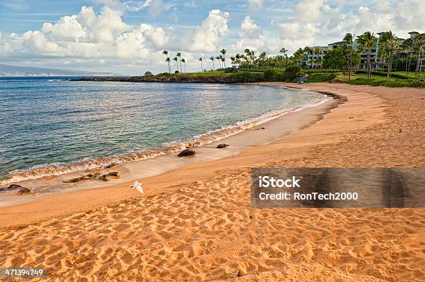 Hawaiian Beach Stock Photo - Download Image Now - Kapalua, Beach, Bay of Water