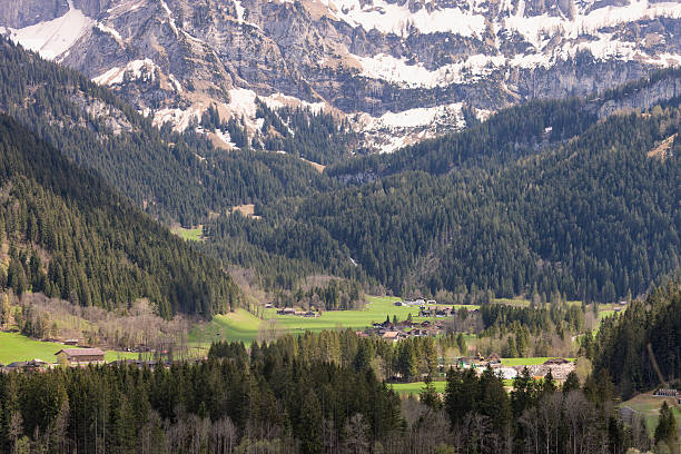 istock Afternoon in Spring, Obersimmental, Swiss Alps 471394907