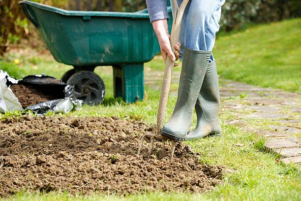 istock Caucasian Gardener Forking A Patch In the Garden 471395163