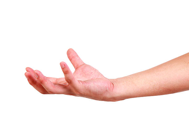 istock Hands open on white background-XXXL 471395169