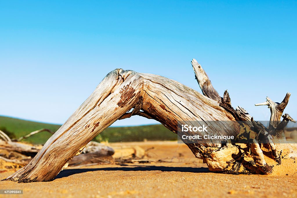 Caixotes madeira na praia com céu claro - Foto de stock de Acabado royalty-free