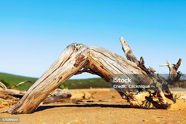 Foto de Caixotes Madeira Na Praia Com Céu Claro e mais fotos de stock de Acabado - Acabado, Antigo, Areia