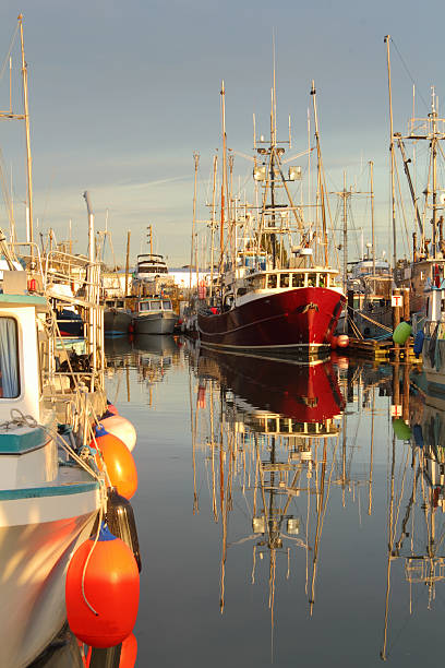 istock Moored Fishboats, Steveston Docks 471396429