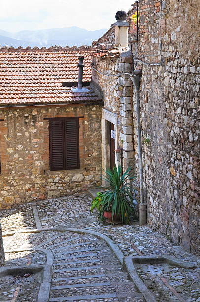 istock Alleyway. Narni. Umbria. Italy. 471397752