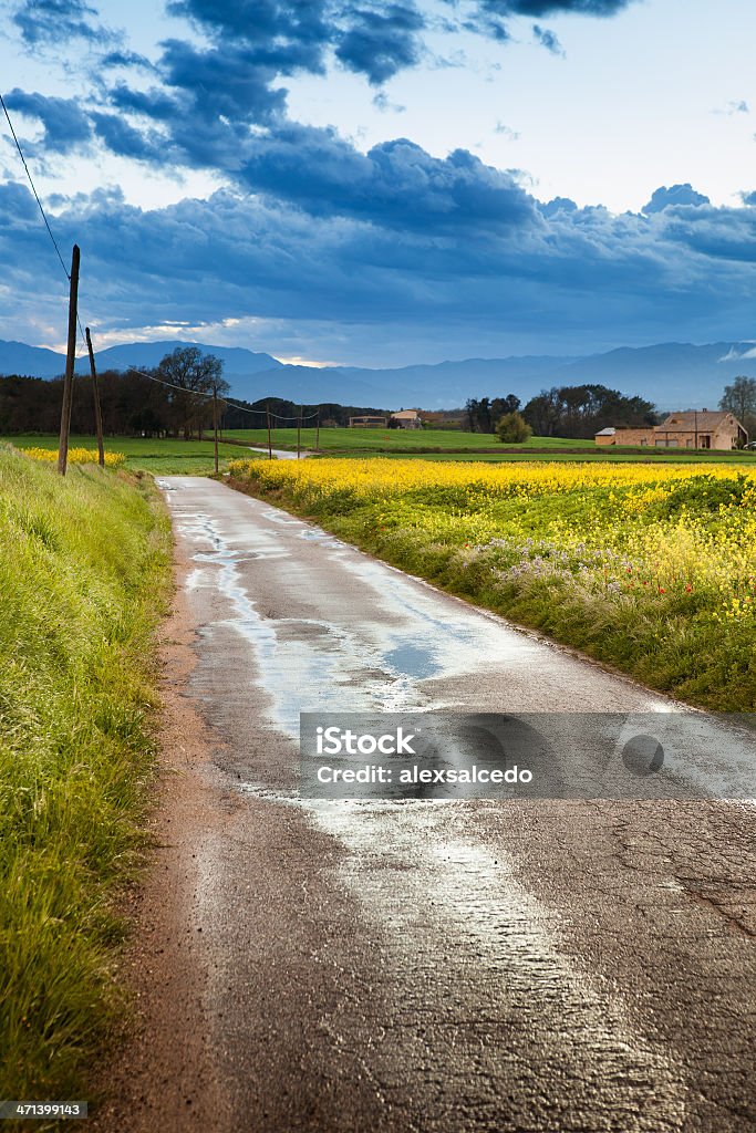 Rural road - Foto de stock de Aire libre libre de derechos