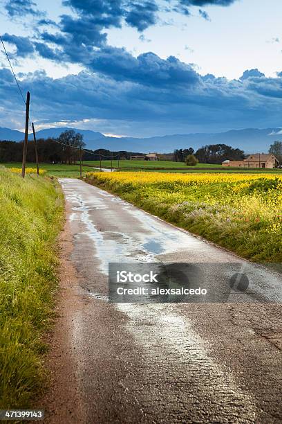 Rural Road Foto de stock y más banco de imágenes de Aire libre - Aire libre, Amarillo - Color, Anochecer