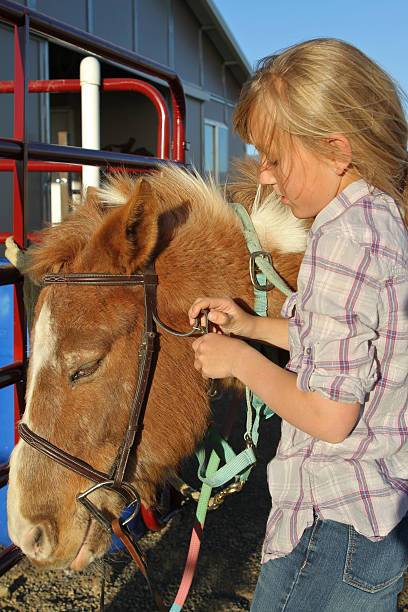 istock Girl Putting Bridle on Pony 471399903