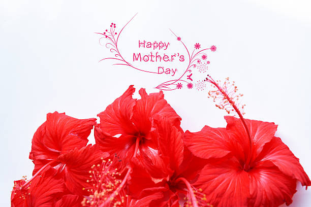 Happy Mothers Day Greeting Card With Flower Stock Photo - Download Image Now - Mother's Day, Brunch, Hibiscus - iStock Happy Mothers Day Greeting Card With Flower Stock Photo - Download Image Now - Mother'S Day, Brunch, Hibiscus - Istock
